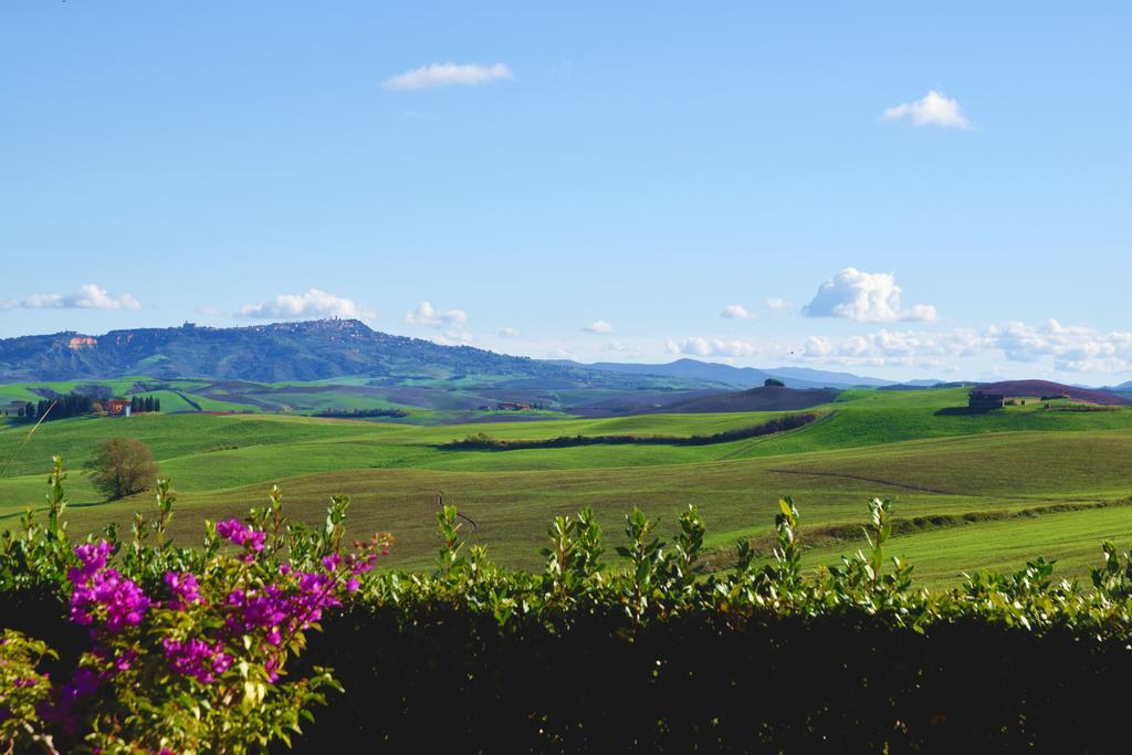Agriturismo San Francesco Amalia And Anna Orciatico Екстериор снимка