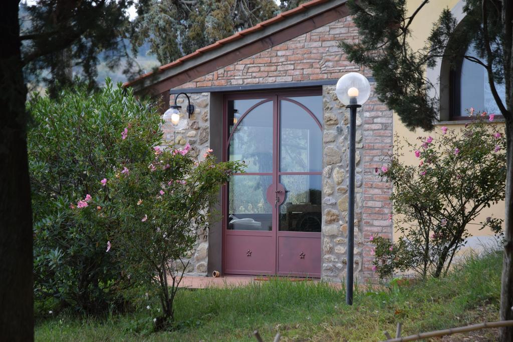 Agriturismo San Francesco Amalia And Anna Orciatico Екстериор снимка