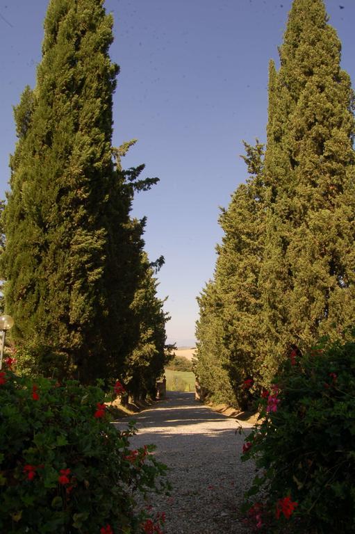 Agriturismo San Francesco Amalia And Anna Orciatico Екстериор снимка