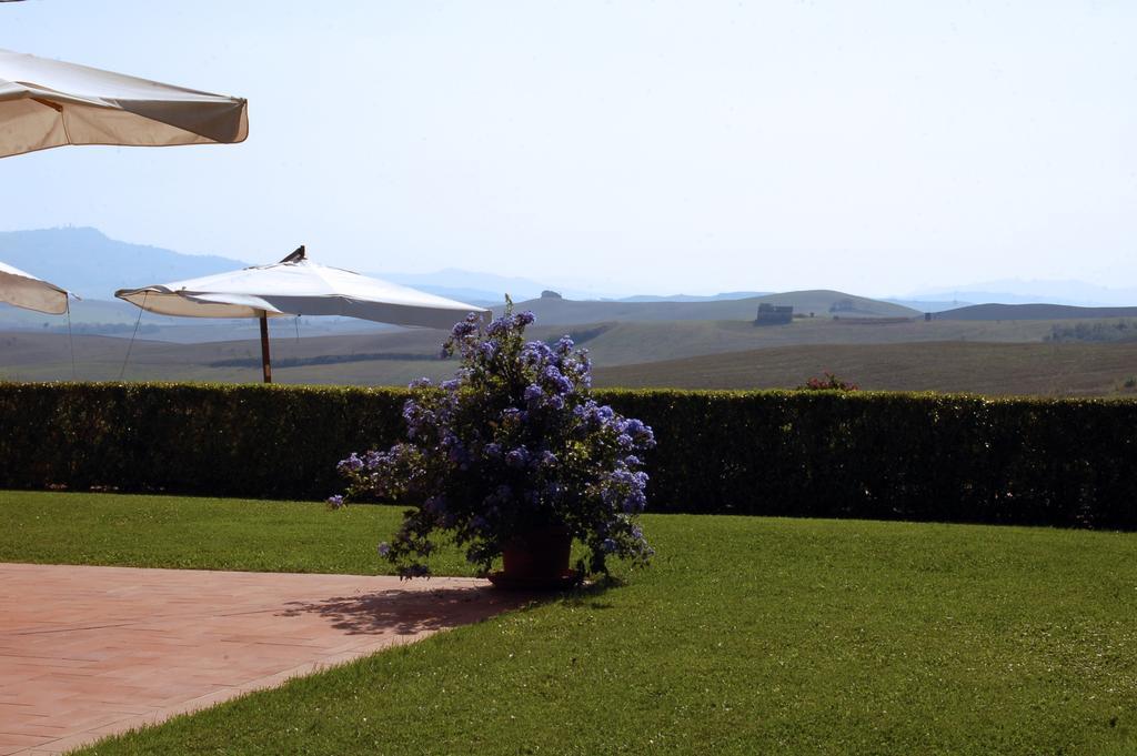 Agriturismo San Francesco Amalia And Anna Orciatico Екстериор снимка