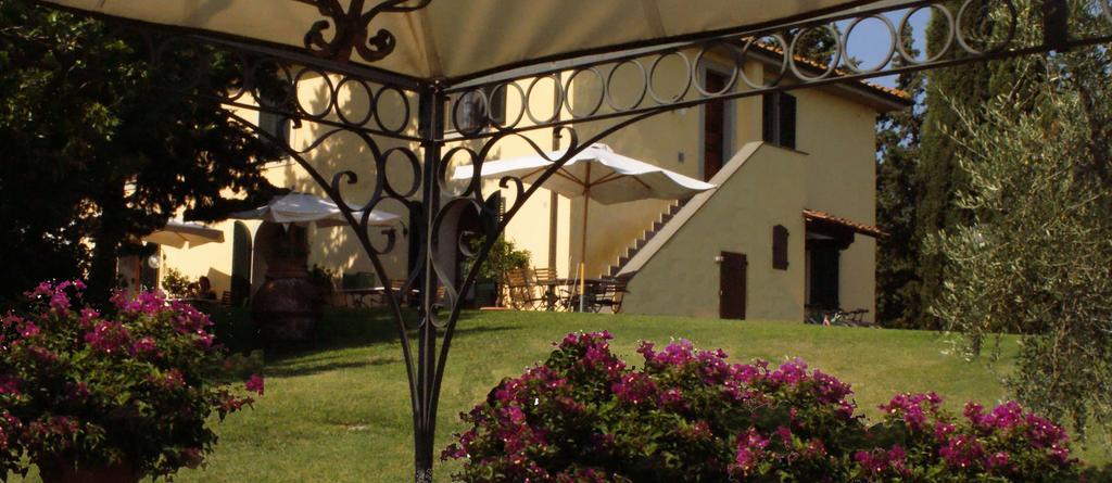 Agriturismo San Francesco Amalia And Anna Orciatico Екстериор снимка