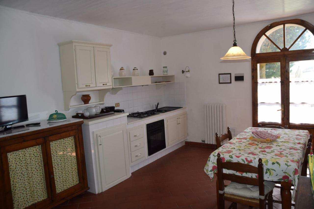 Agriturismo San Francesco Amalia And Anna Orciatico Екстериор снимка